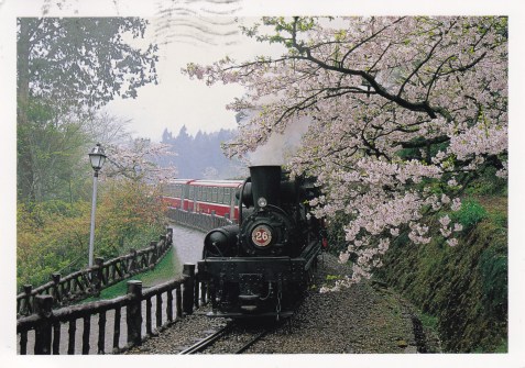 train_plum_blossoms