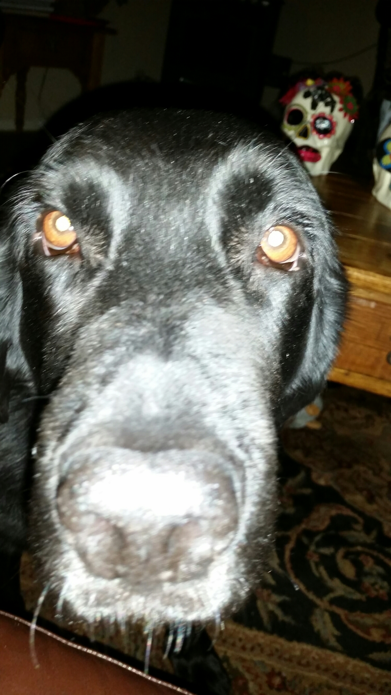 20151107_212641.jpg image